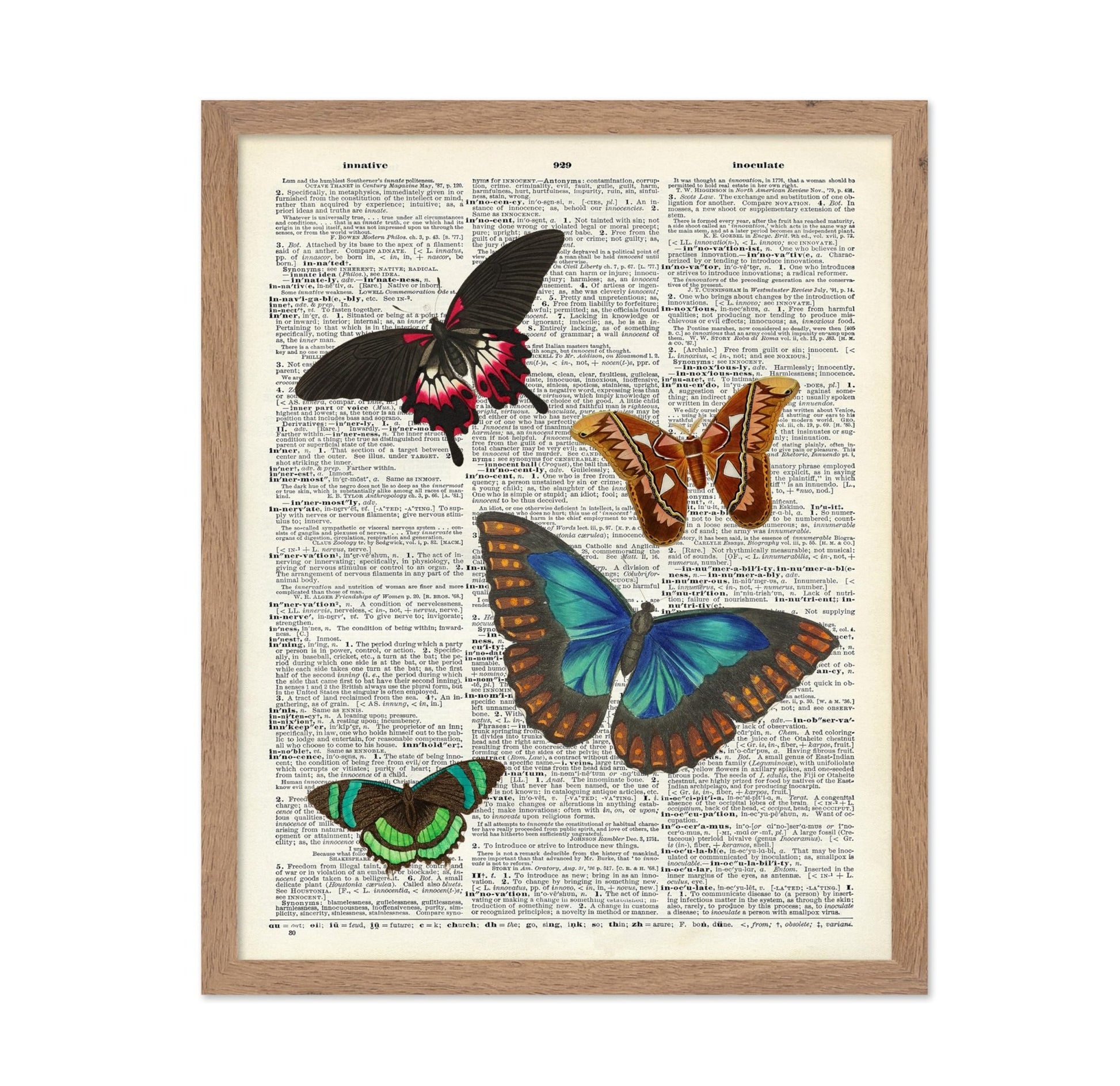 Rustic Butterflies