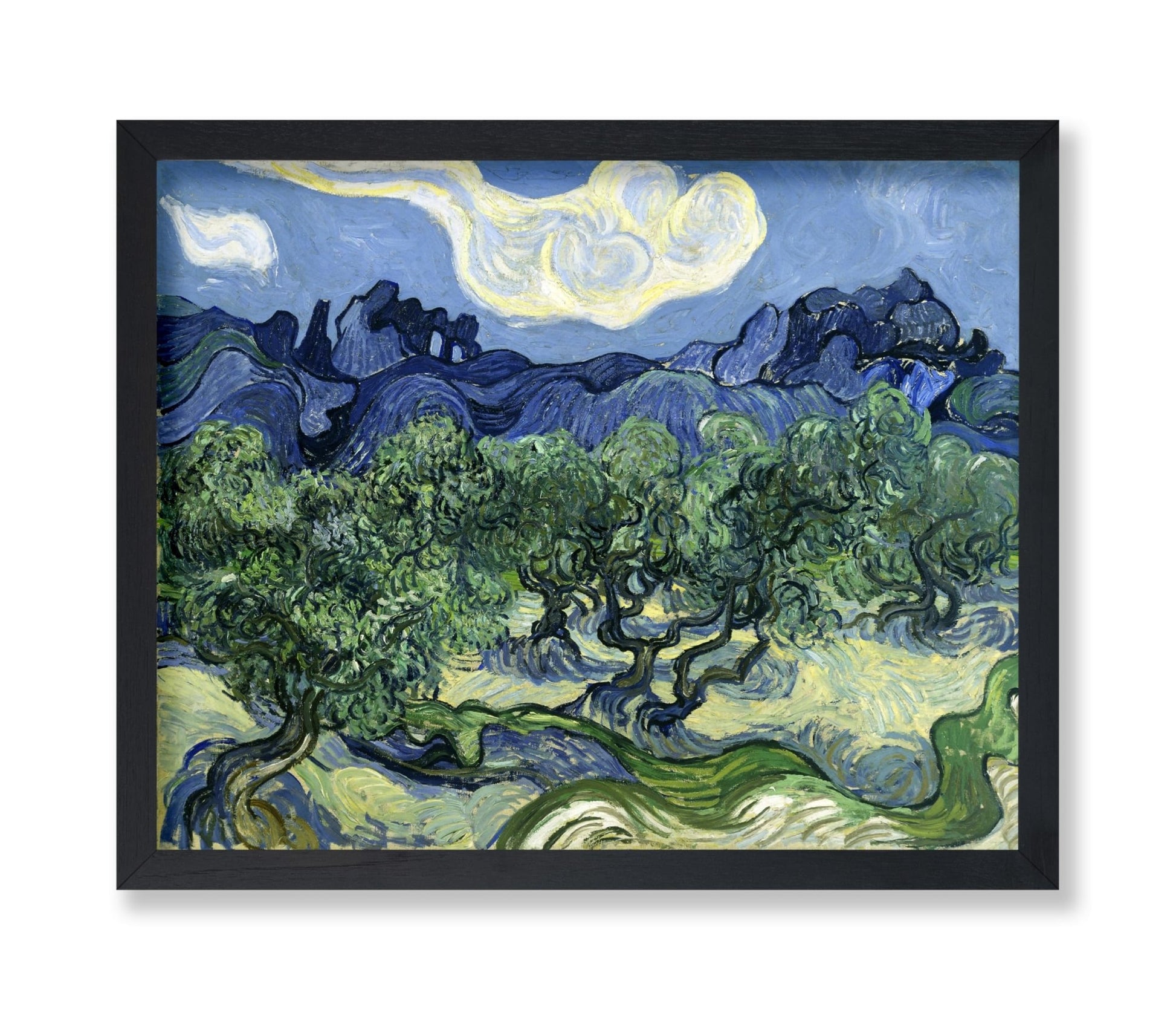 Van Gogh - Olive Trees