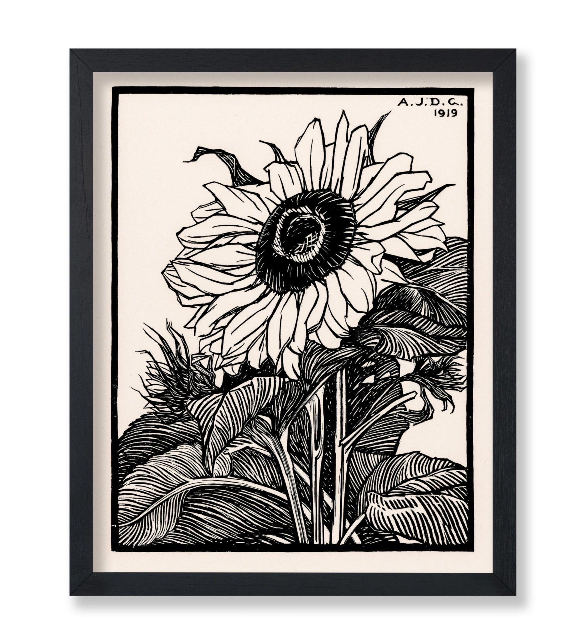 Julie De Graag - Sunflower