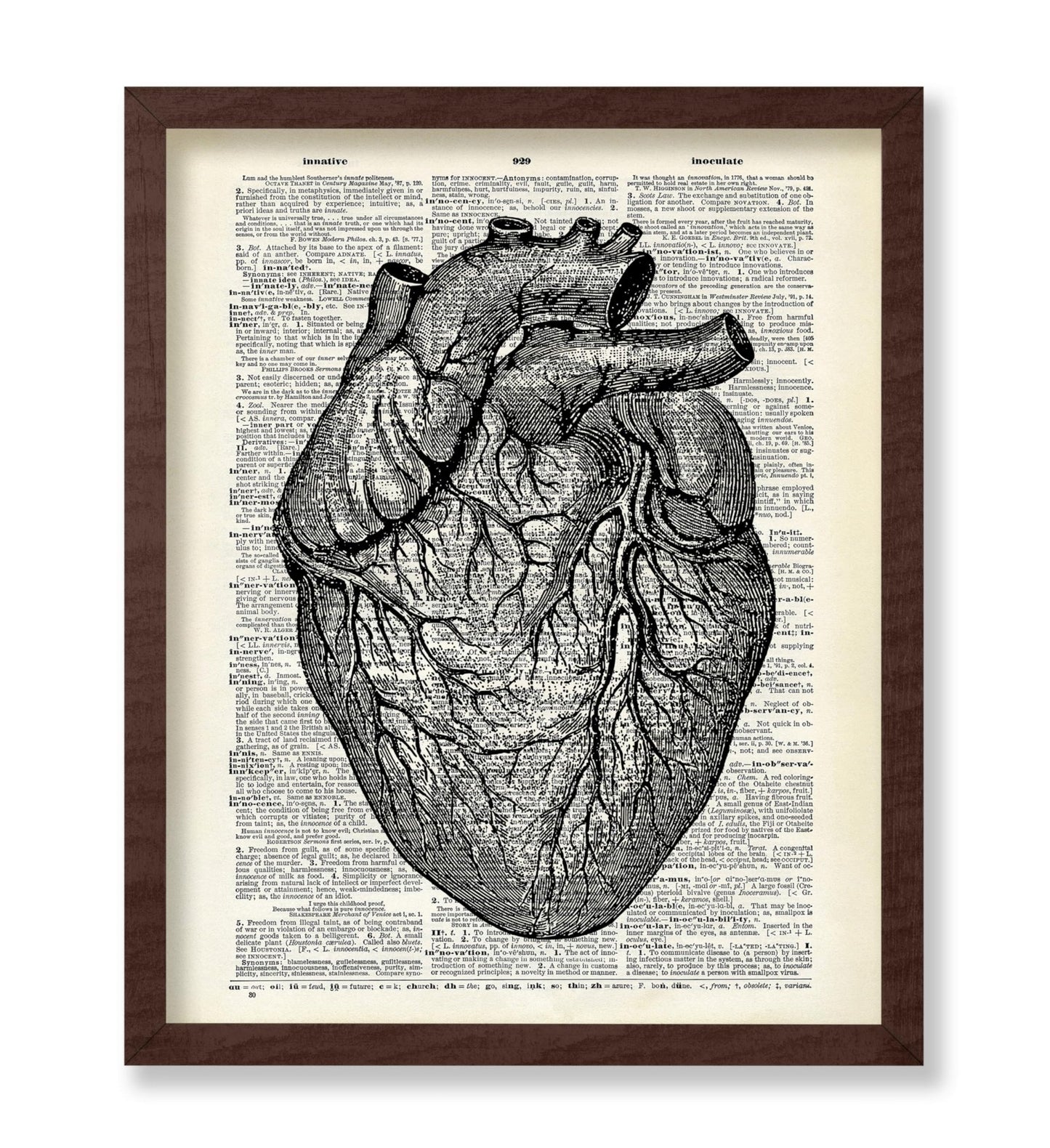Anatomical Heart