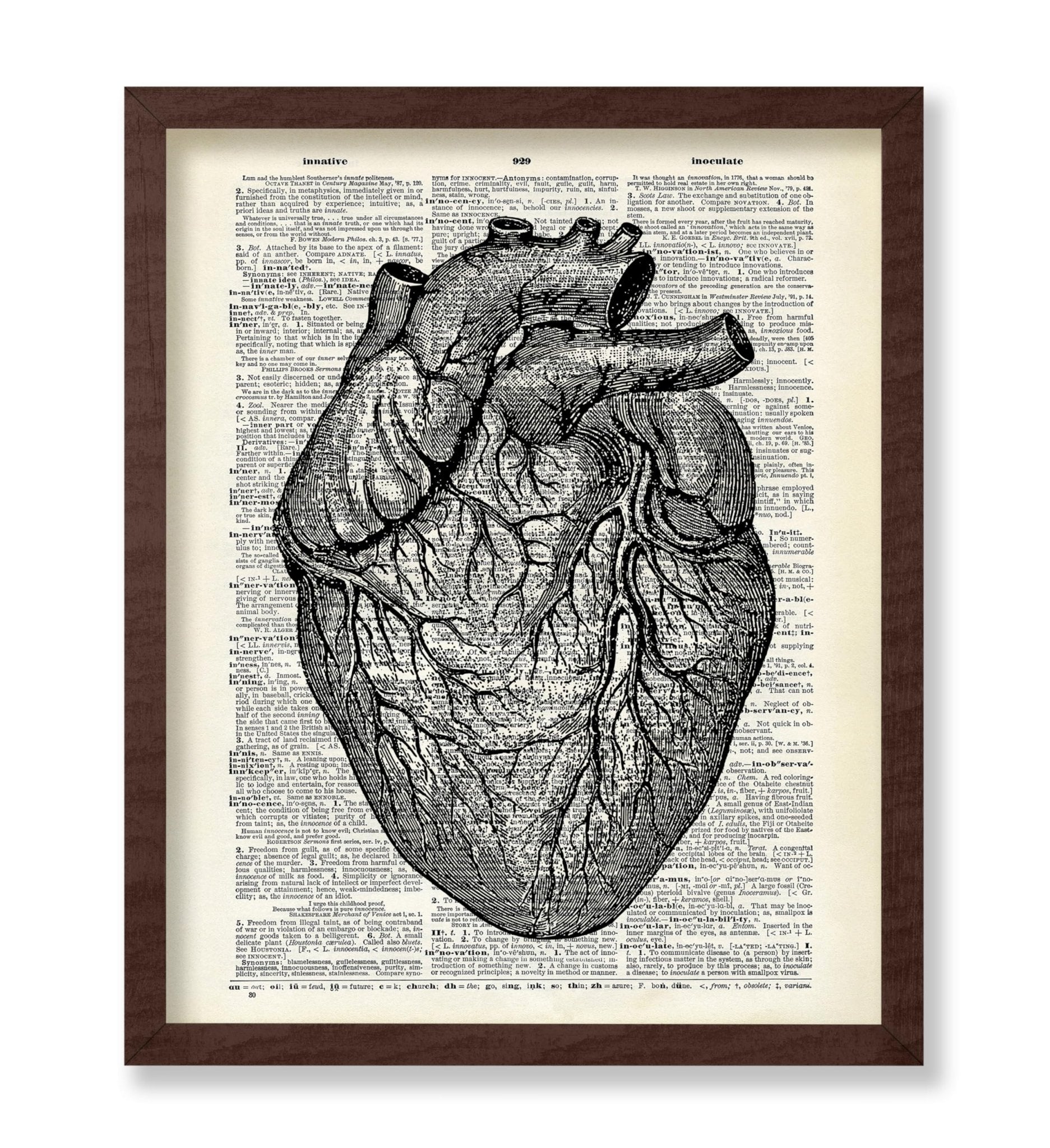 Anatomical Heart