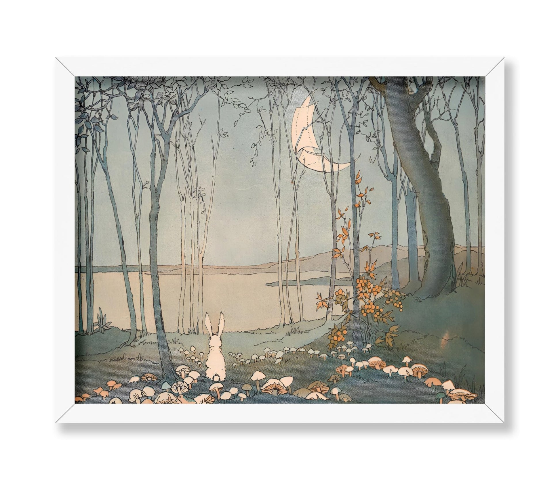 Bunny and the New Moon
