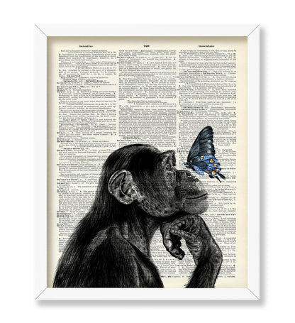 Monkey and Butterfly