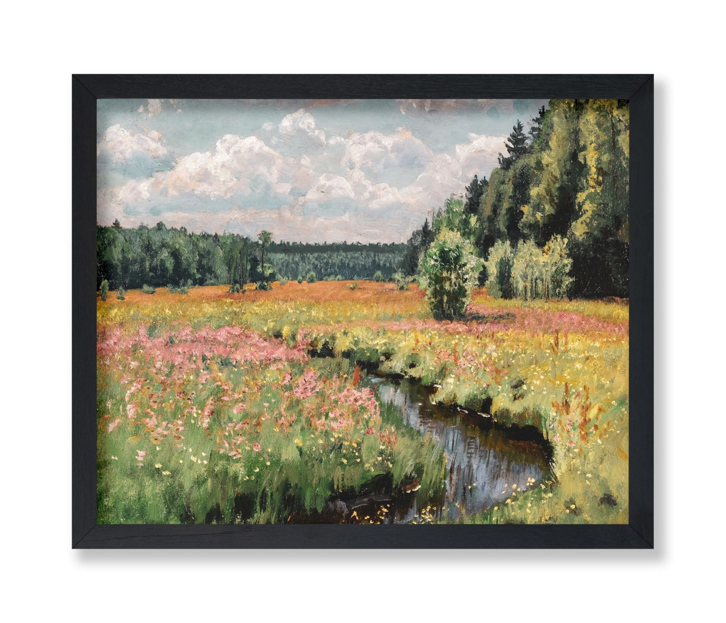Summer Meadow