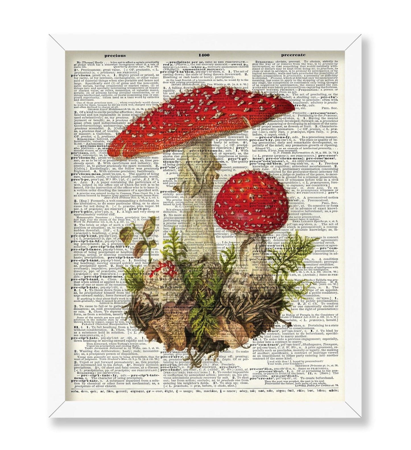 Fly Agaric Mushroom