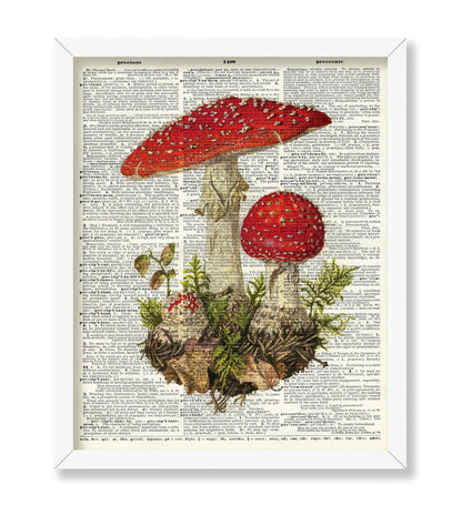 Fly Agaric Mushroom