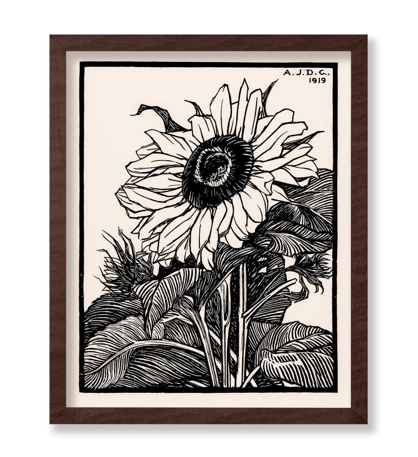 Julie De Graag - Sunflower