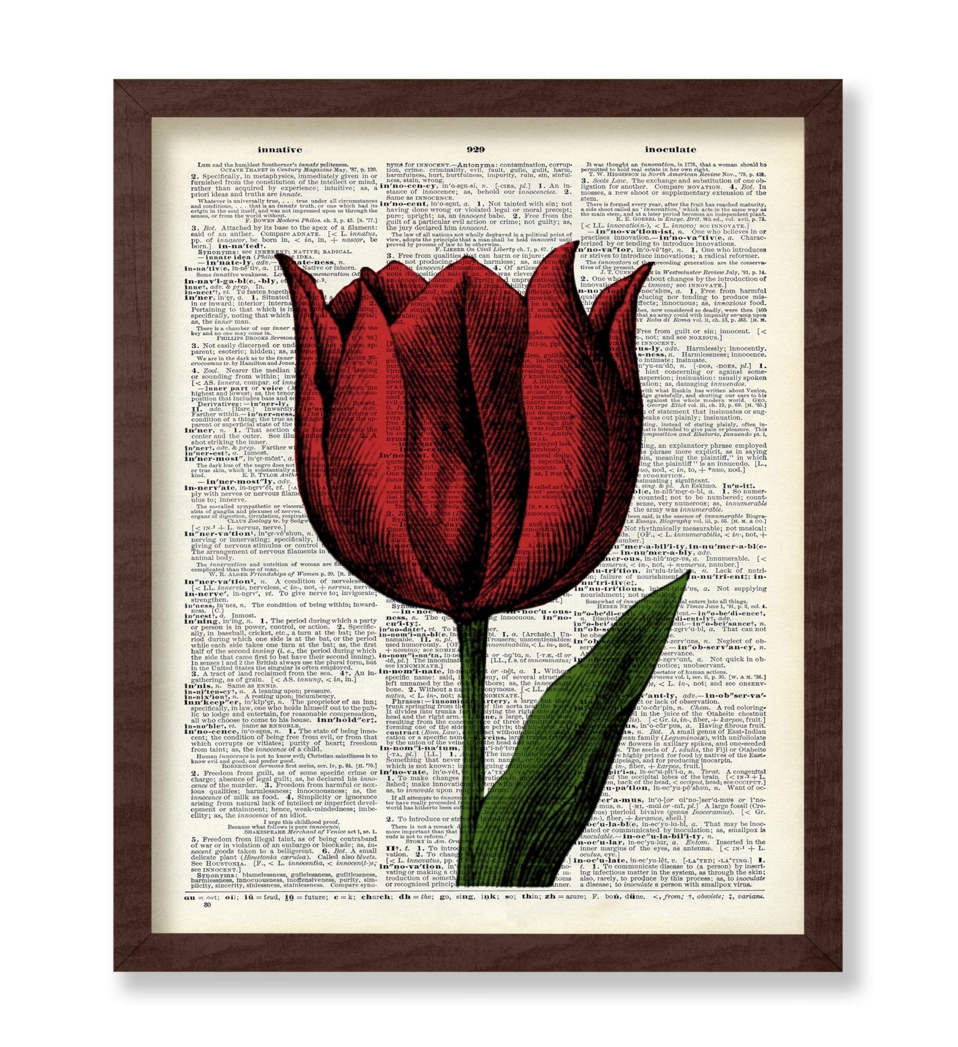 Red Tulip