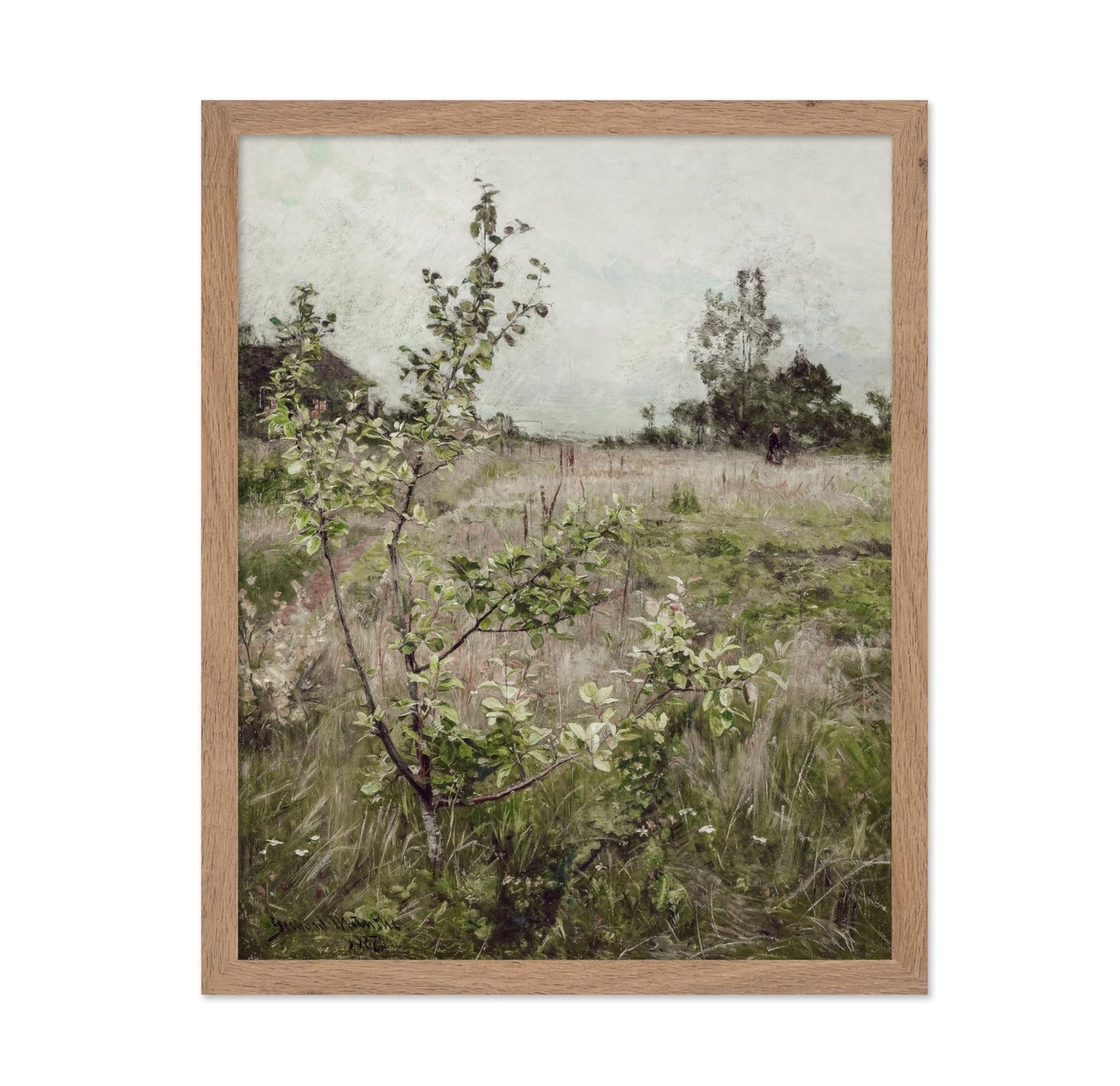 Field of Meadows