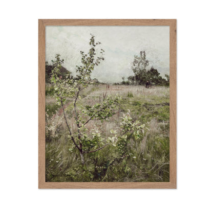 Field of Meadows