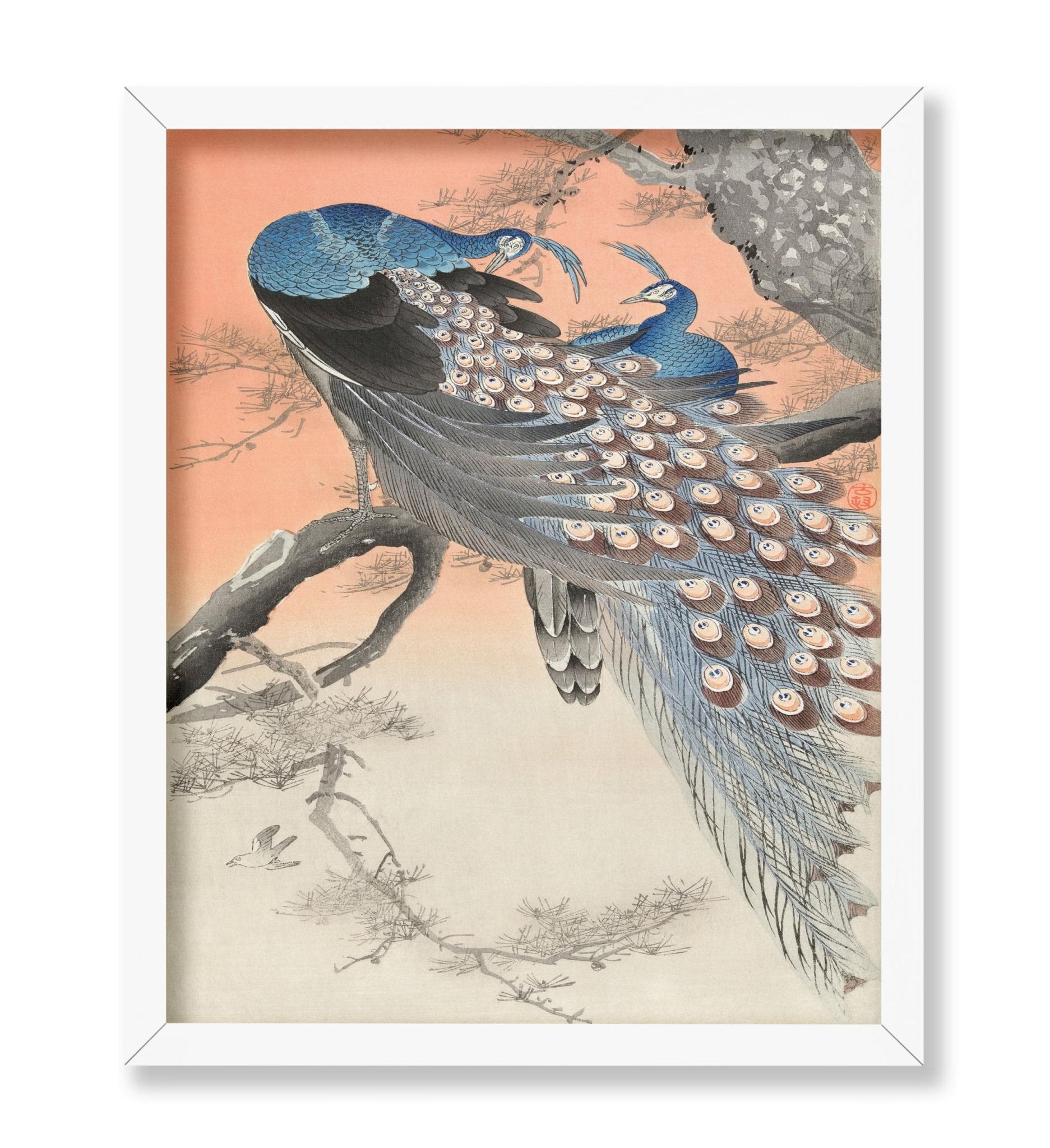 Ohara Koson - Two Peacocks No2