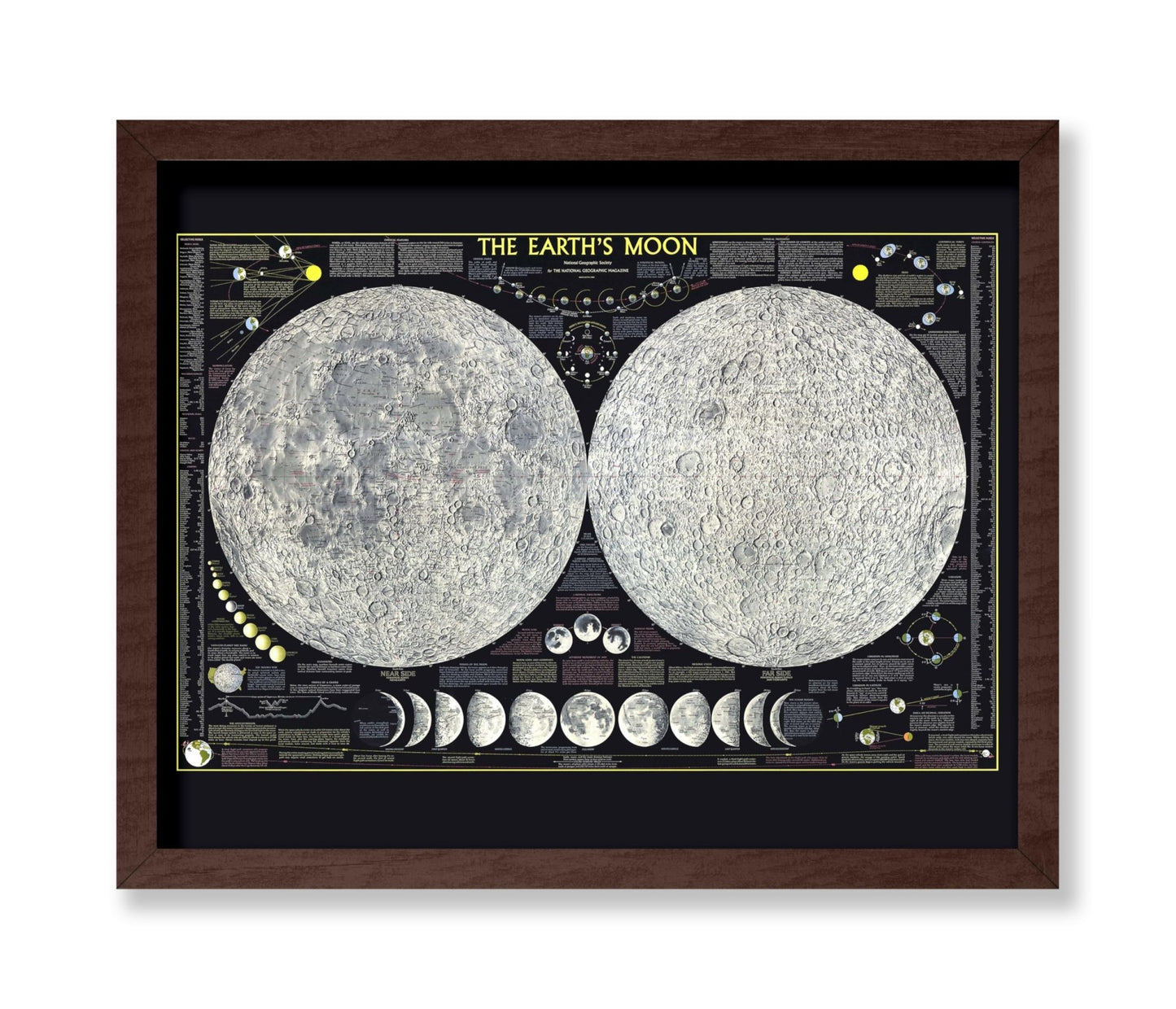 The Earth's Moon