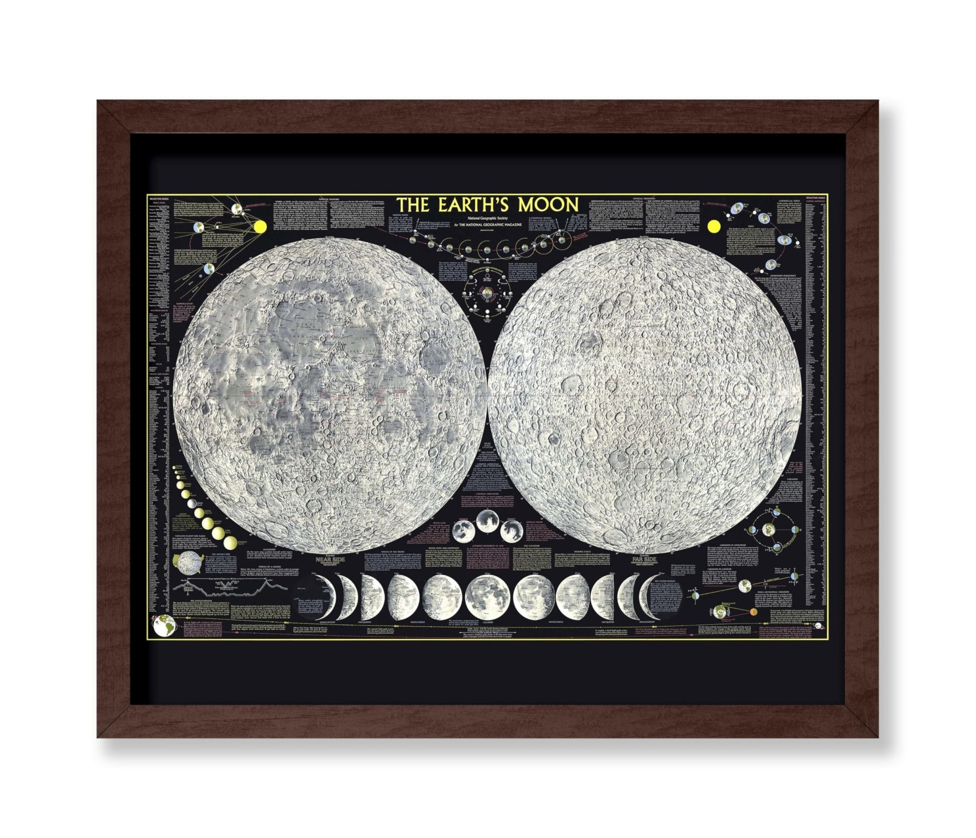 The Earth's Moon