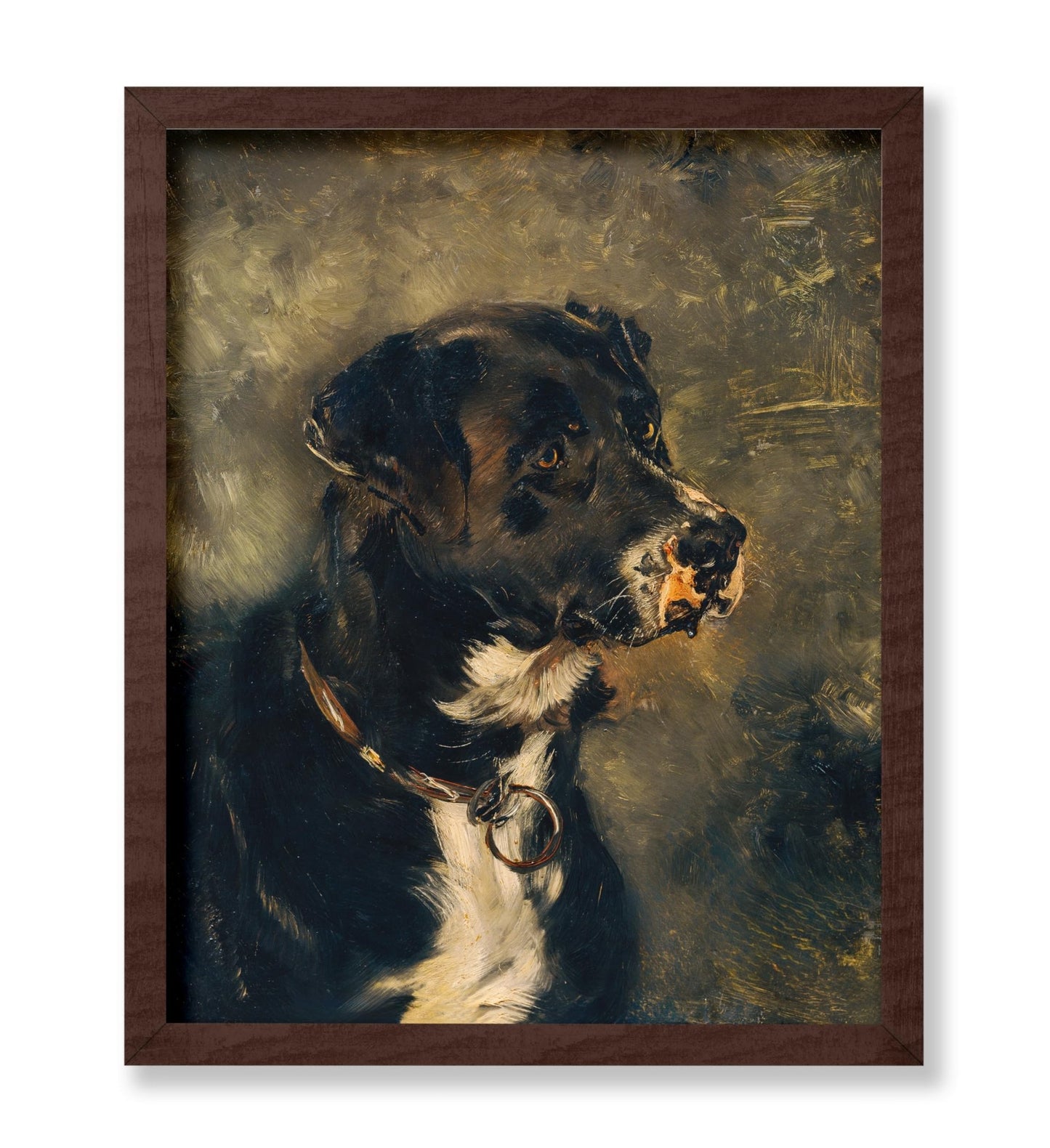 Head of A Butcher's Dog