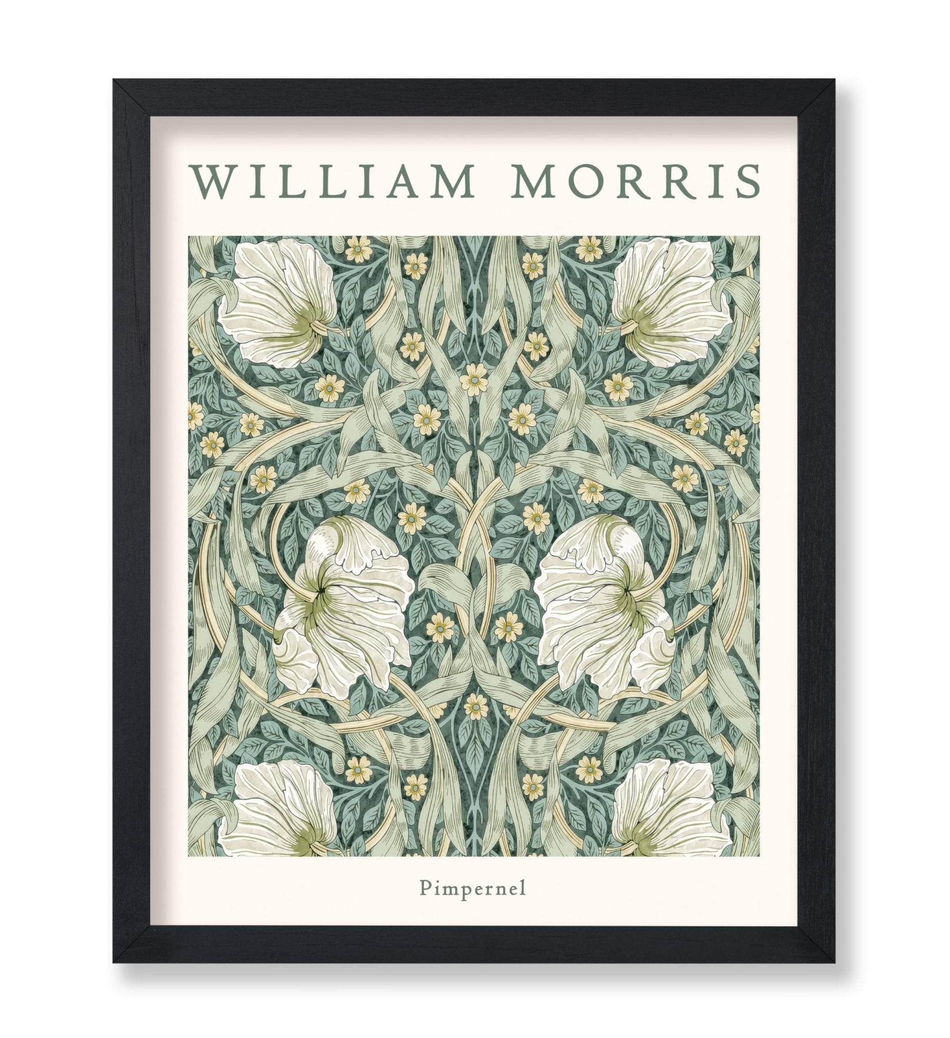 William Morris - Pimpernel No1
