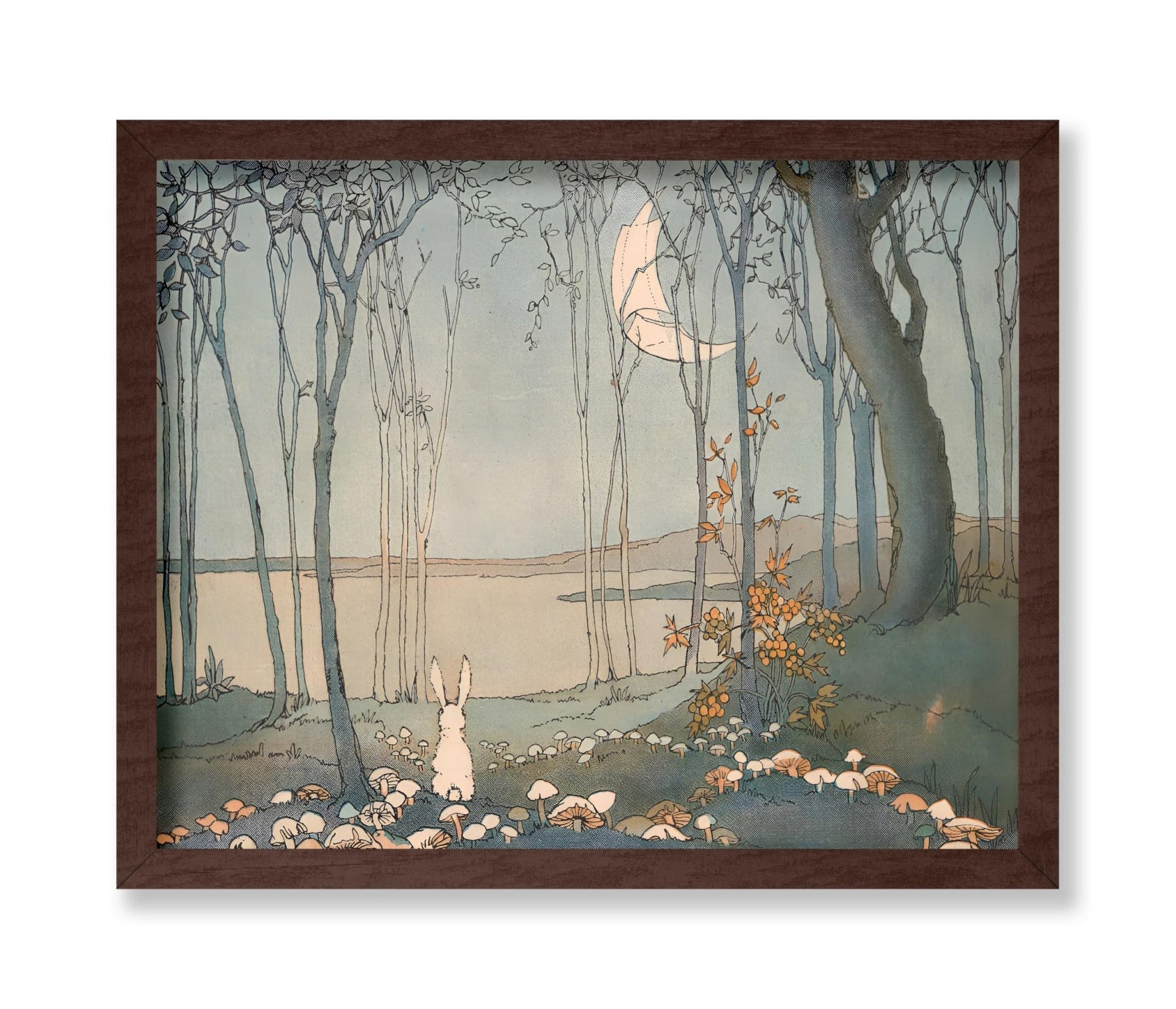 Bunny and the New Moon