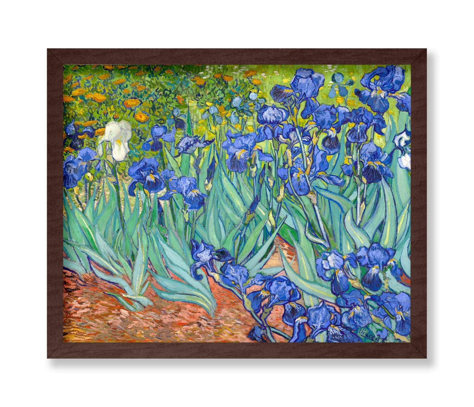 Van Gogh - Irises No1