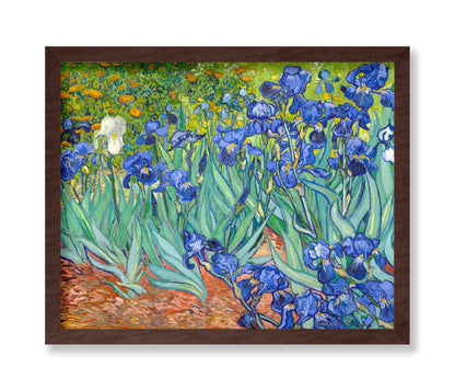 Van Gogh - Irises No1