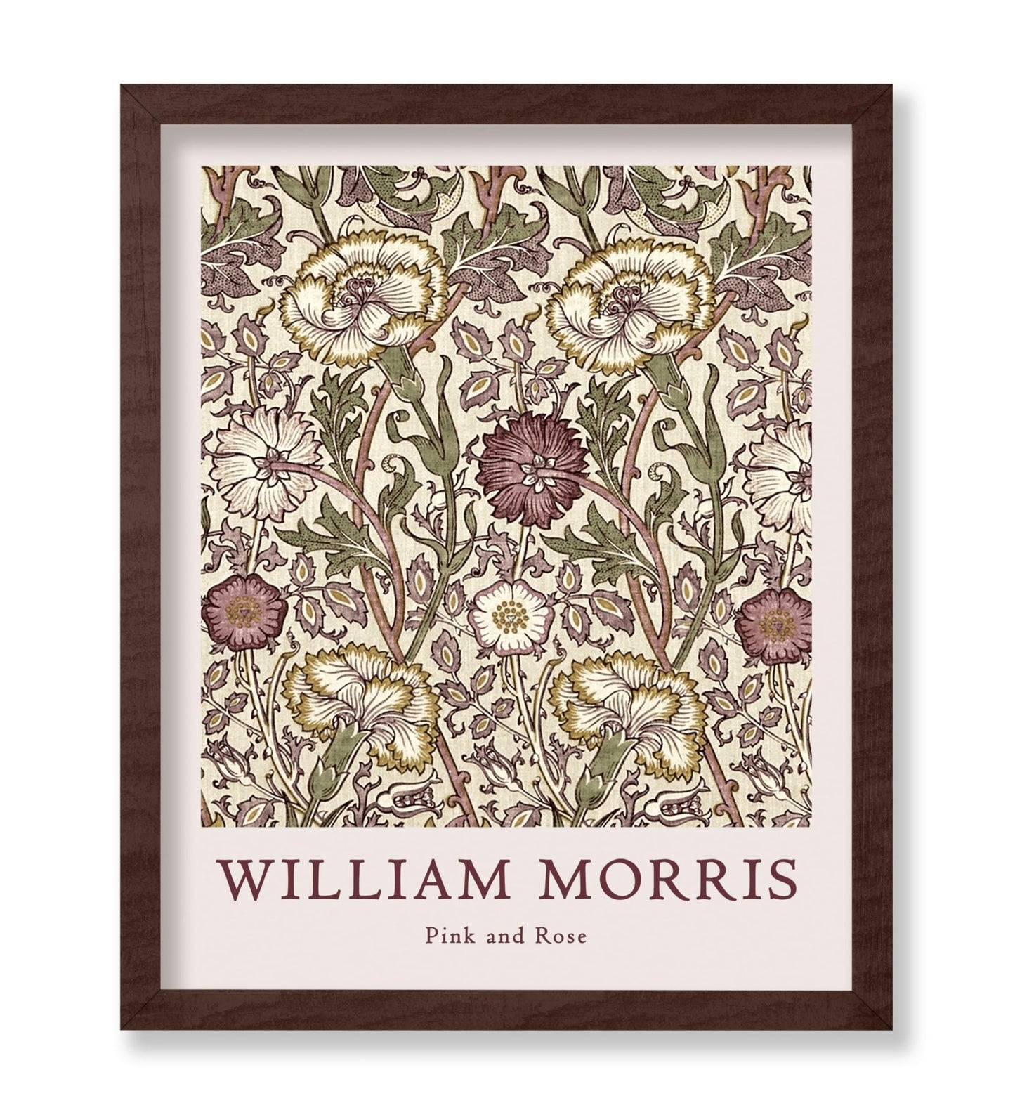 William Morris - Rose No5