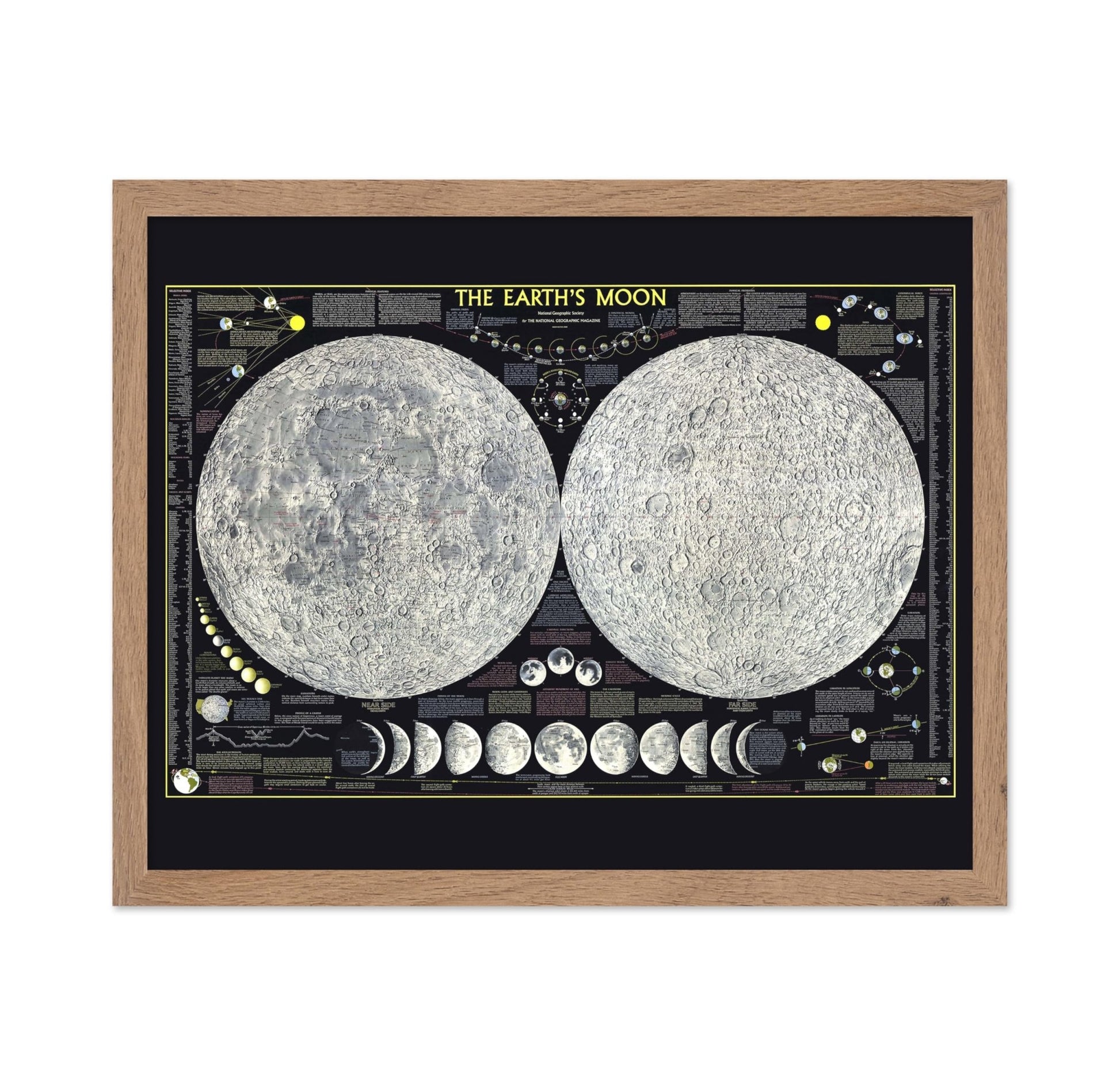 The Earth's Moon