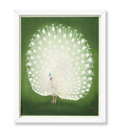 Ohara Koson - Peacock No4