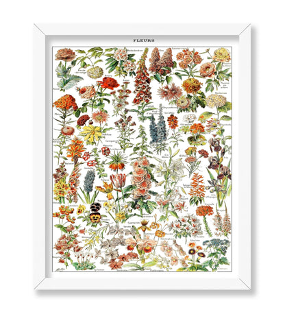 Assorted Flowers