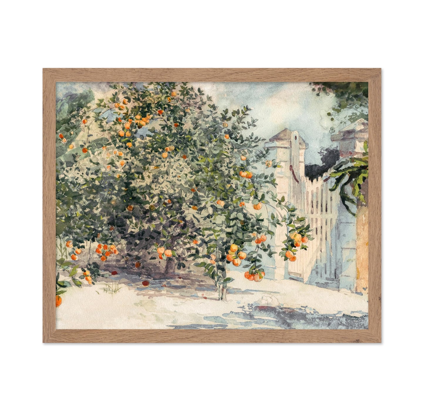 Orange Trees and Gate