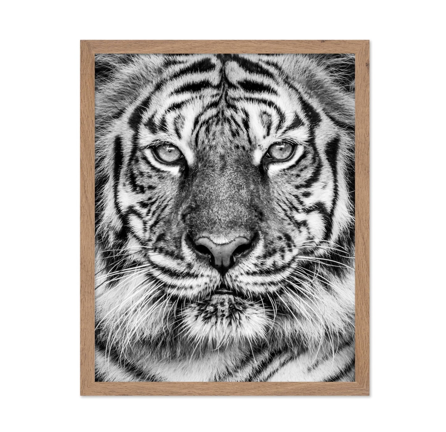 Tiger No2