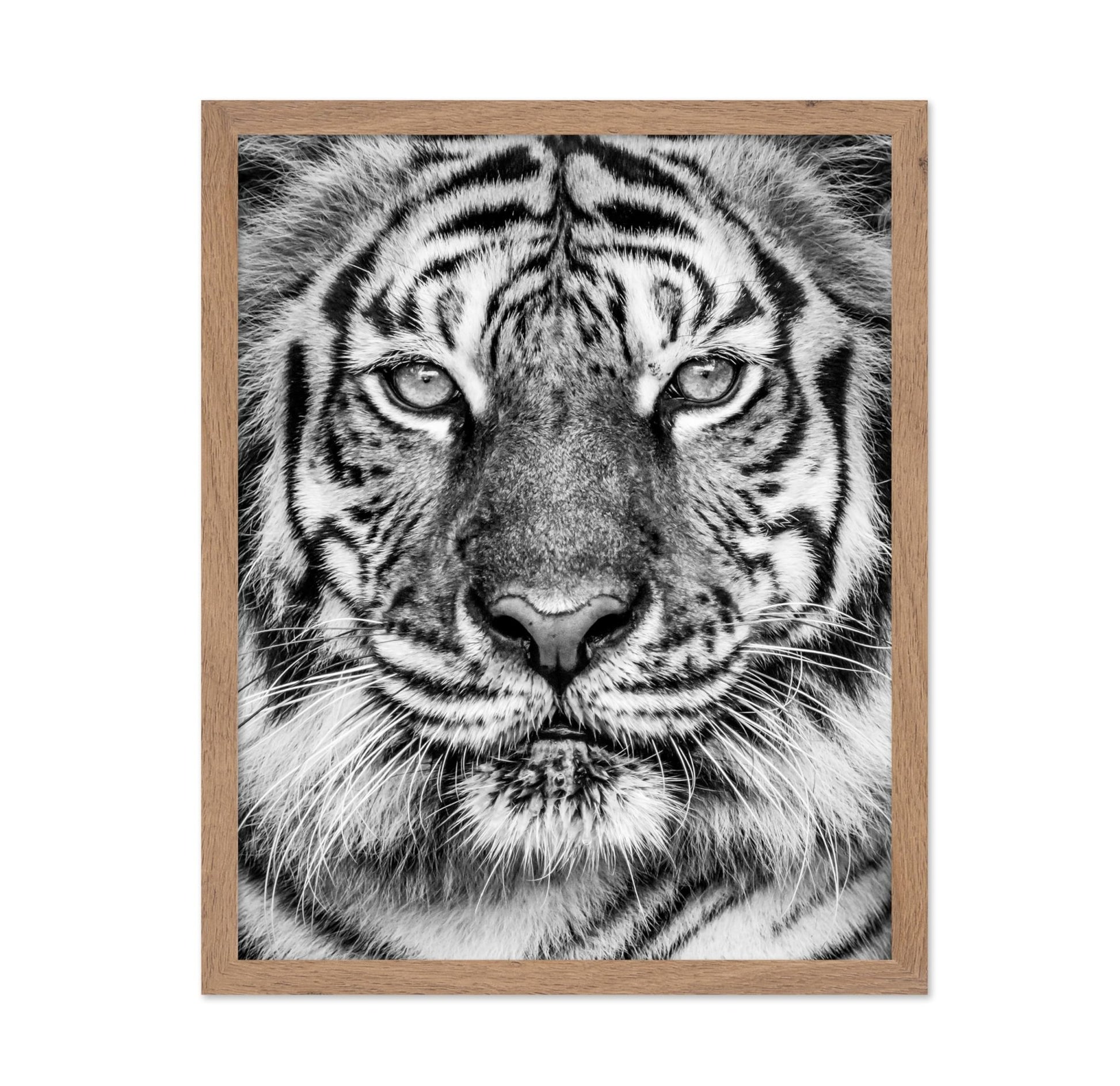 Tiger No2