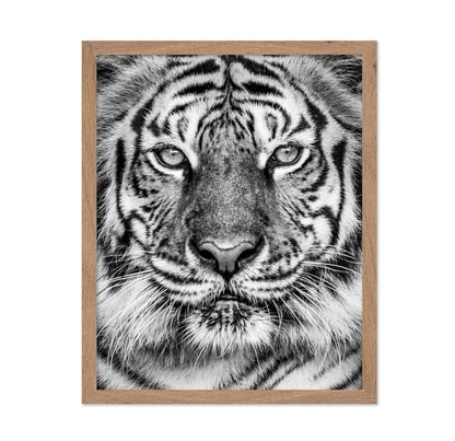 Tiger No2
