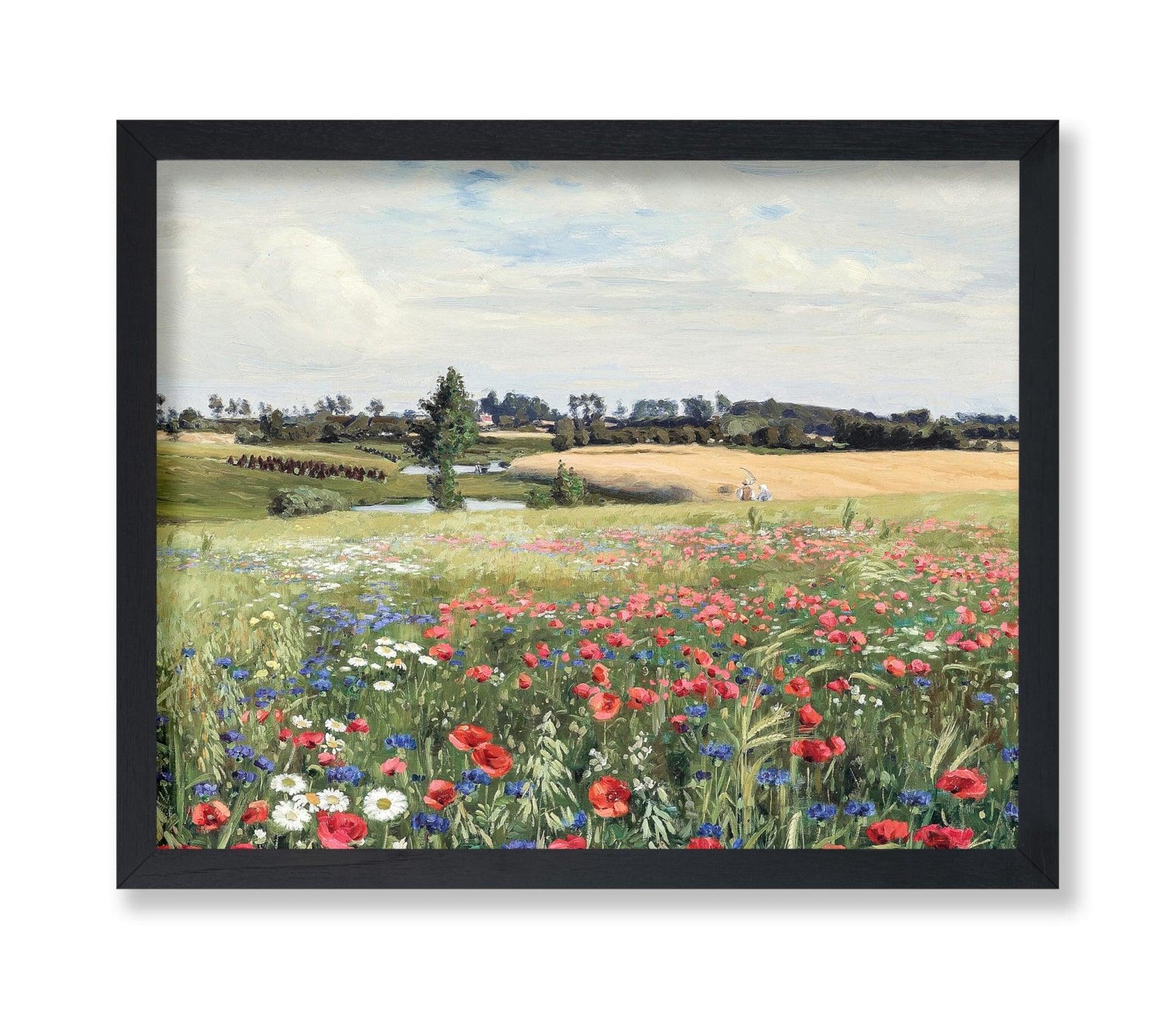 Field with Poppies and Daisies