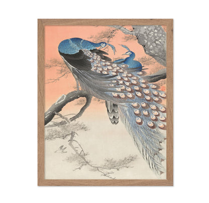 Ohara Koson - Two Peacocks No2