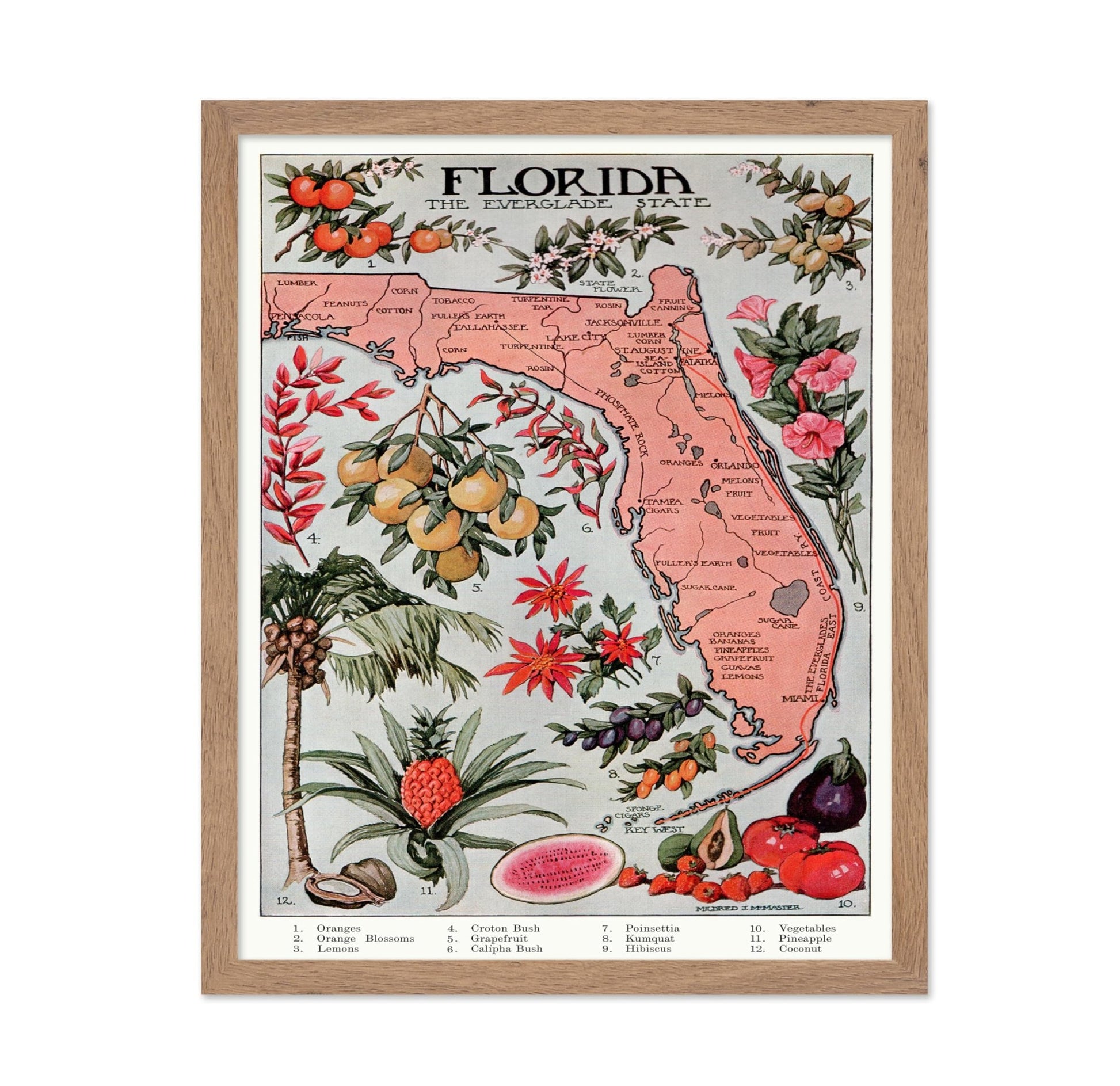 Florida - The Everglade State