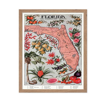 Florida - The Everglade State