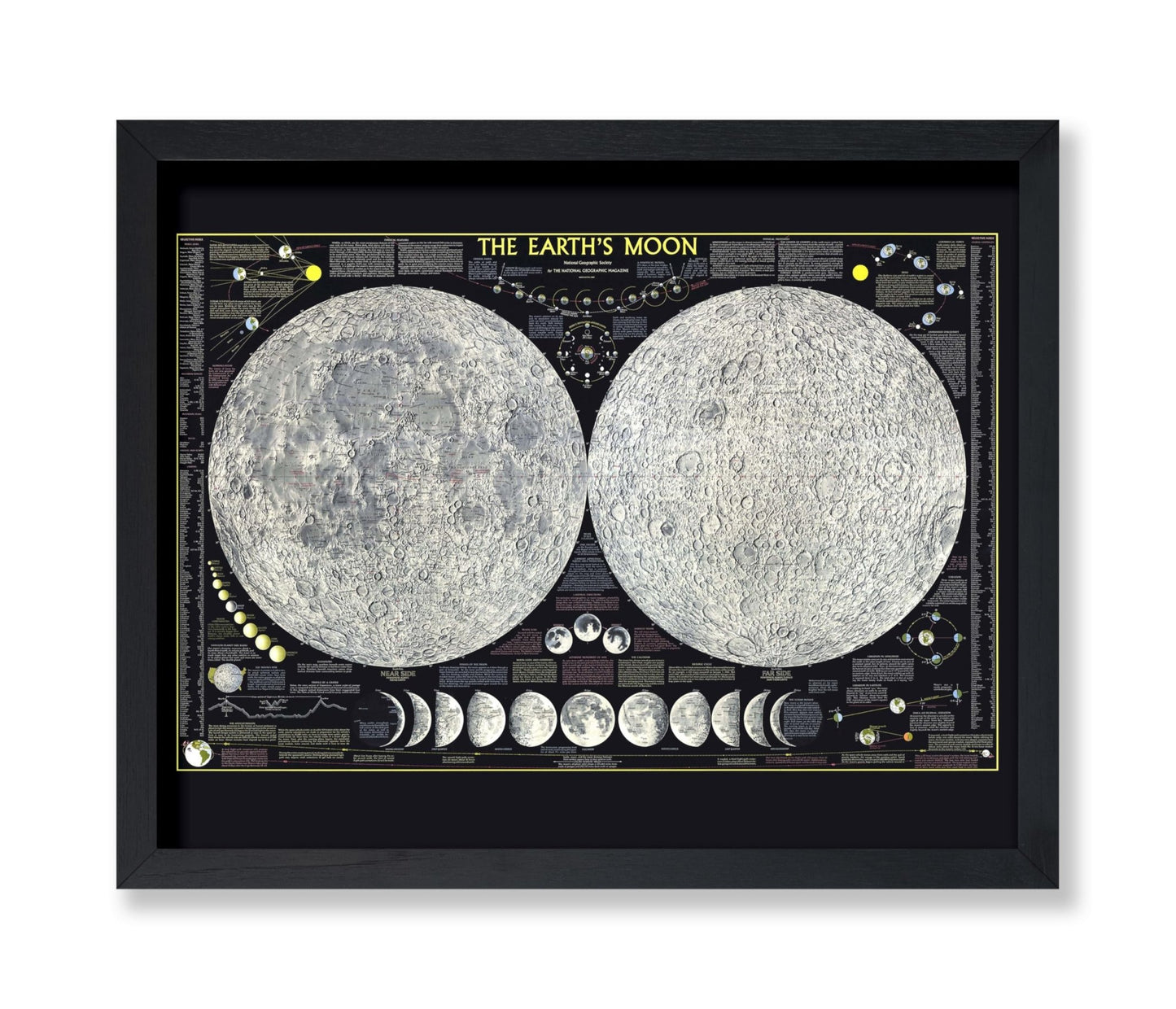 The Earth's Moon