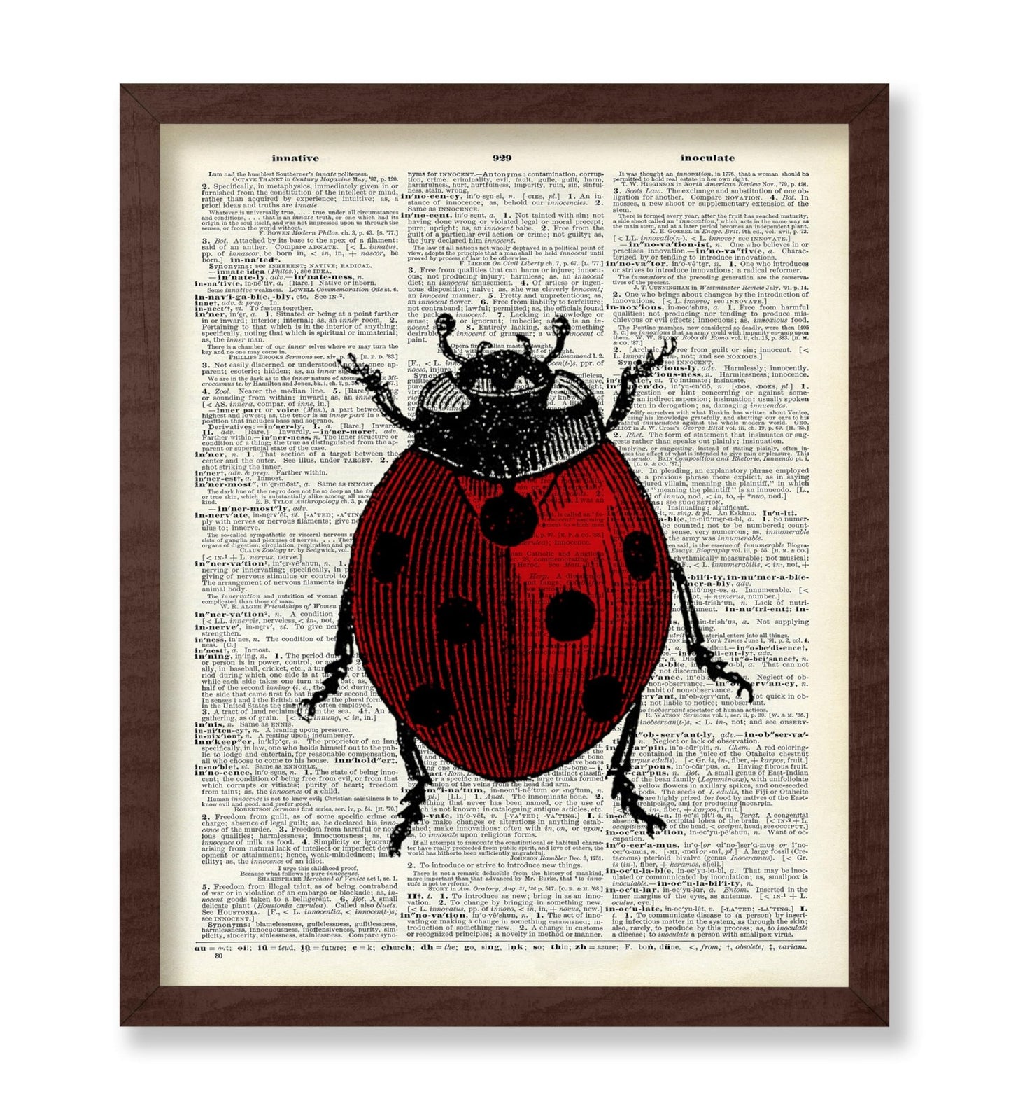 Ladybug