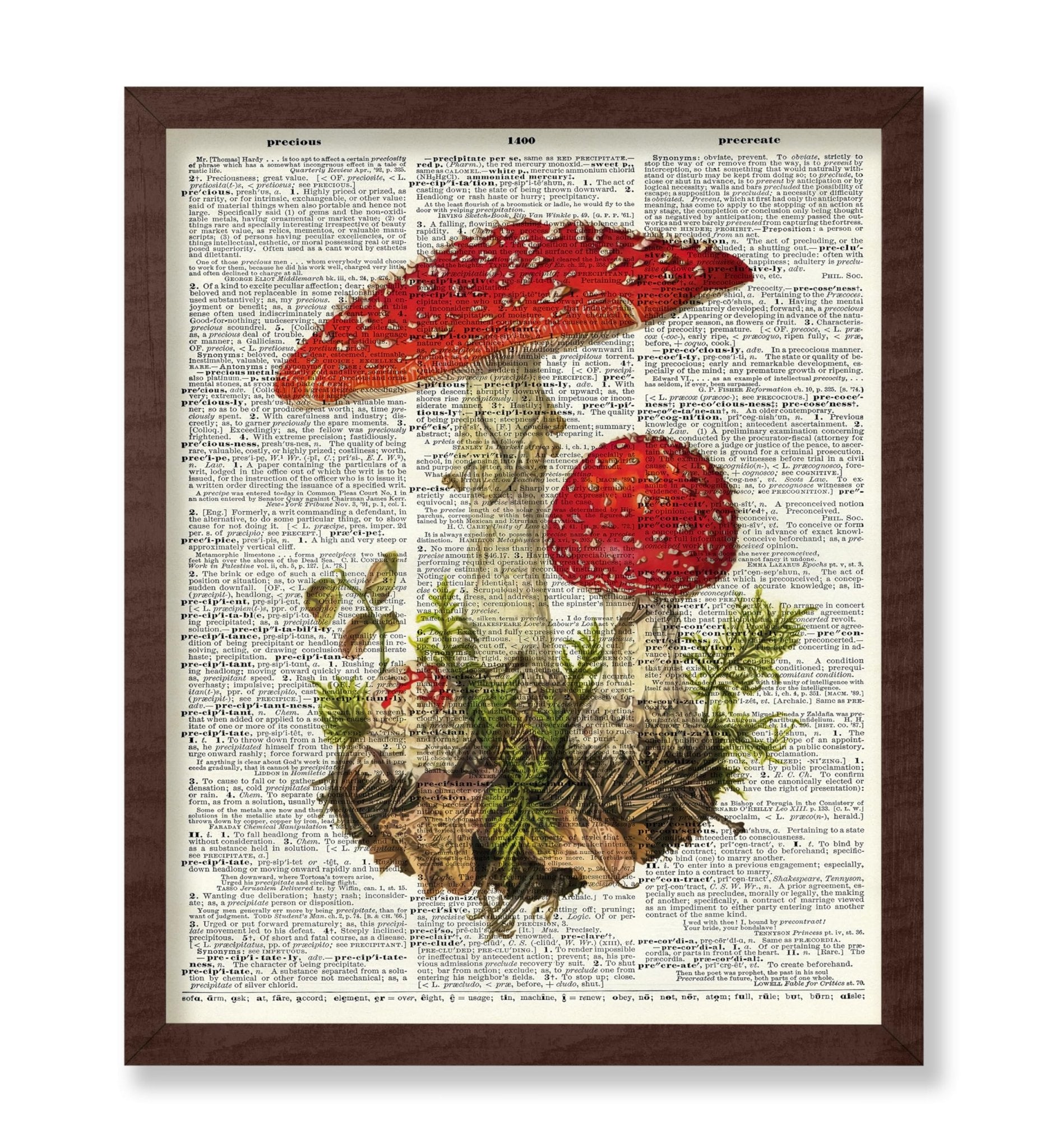 Fly Agaric Mushroom