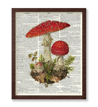 Fly Agaric Mushroom