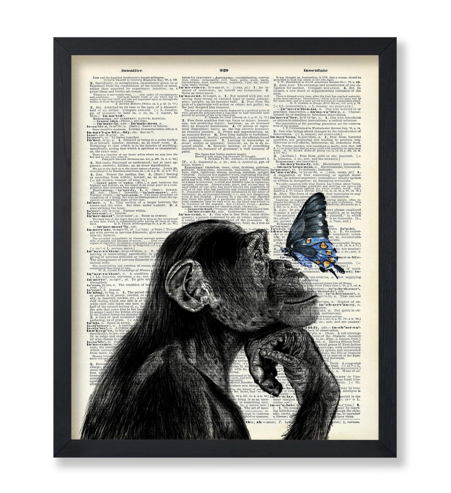 Monkey and Butterfly