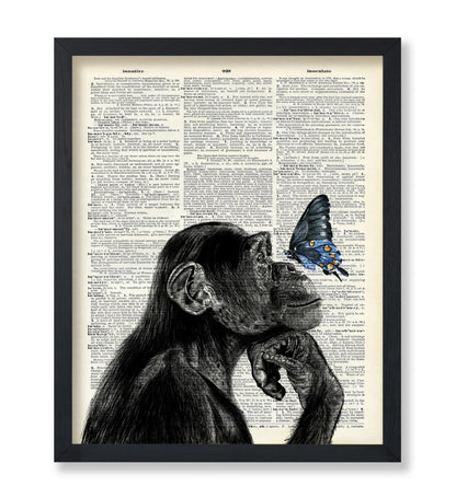 Monkey and Butterfly