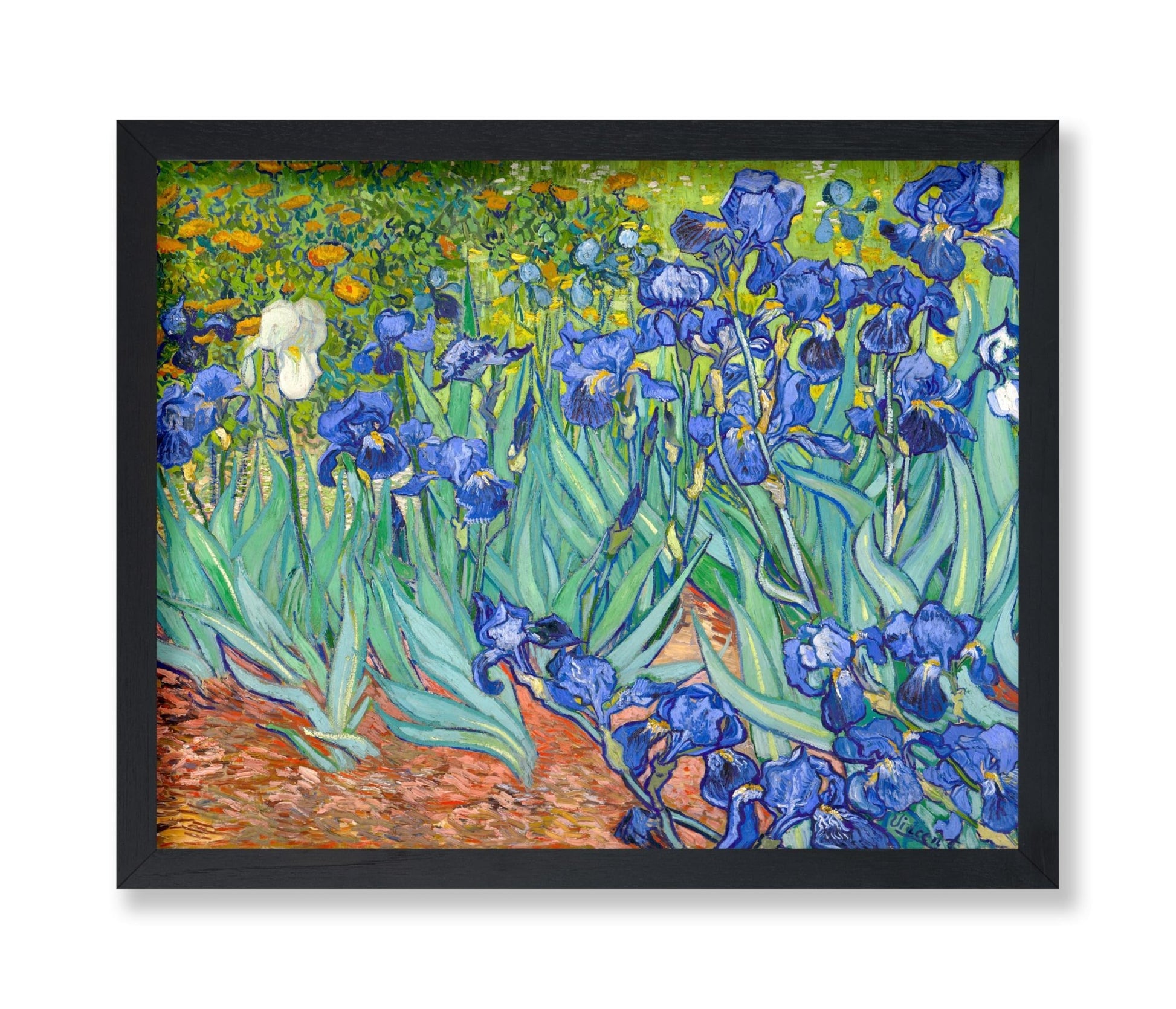 Van Gogh - Irises No1