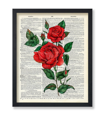 Red Rose