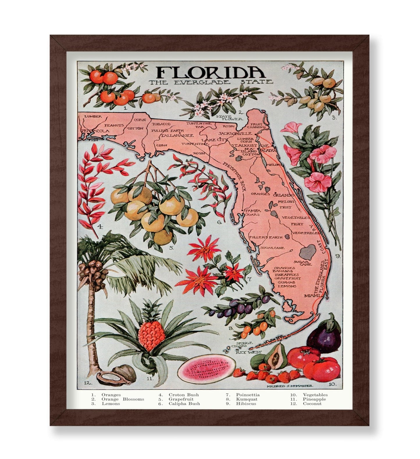 Florida - The Everglade State