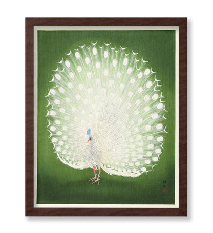 Ohara Koson - Peacock No4