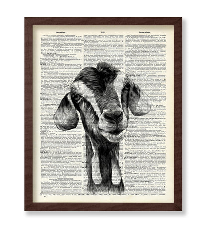 Goat Portrait