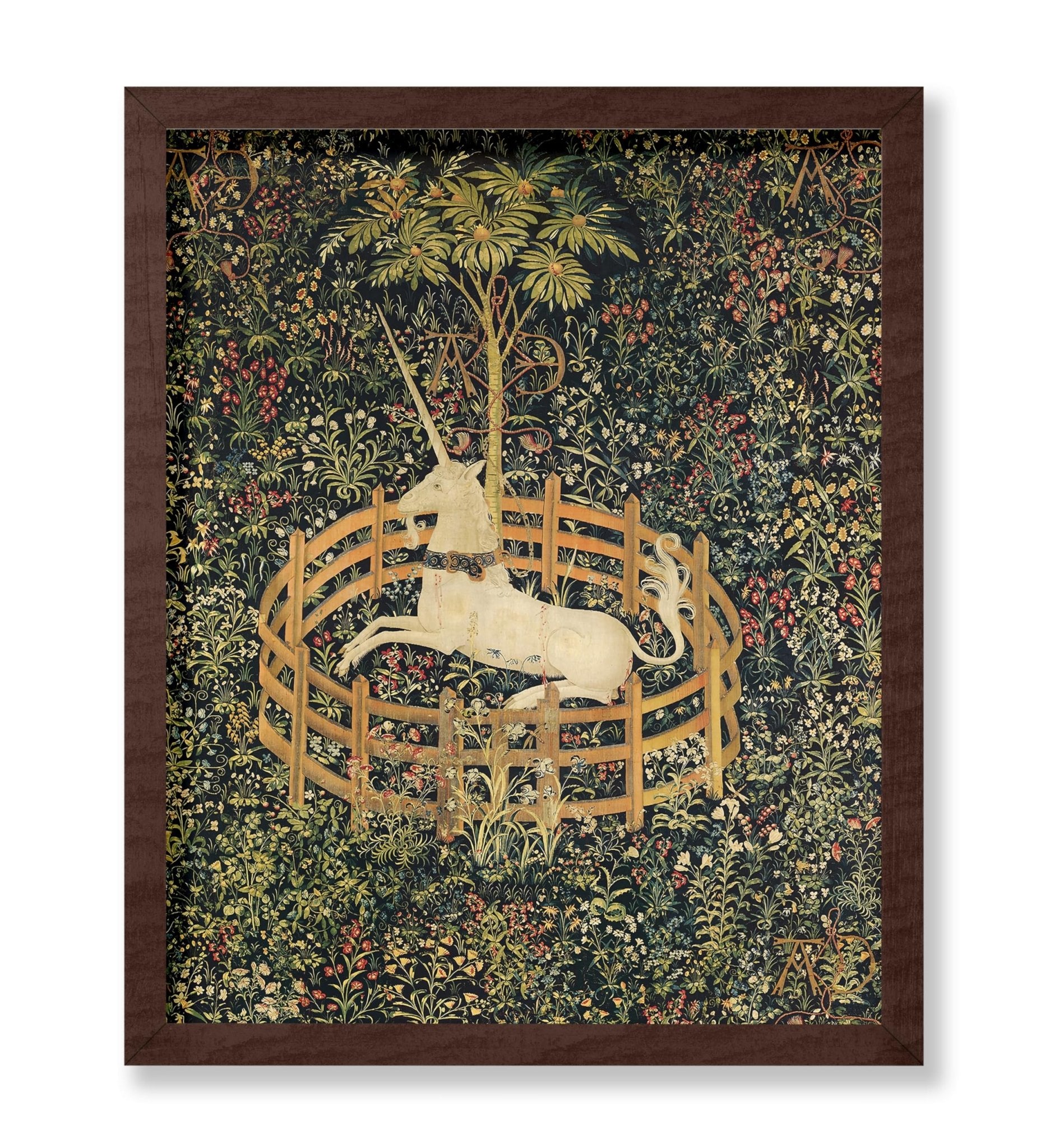 The Unicorn in Captivity