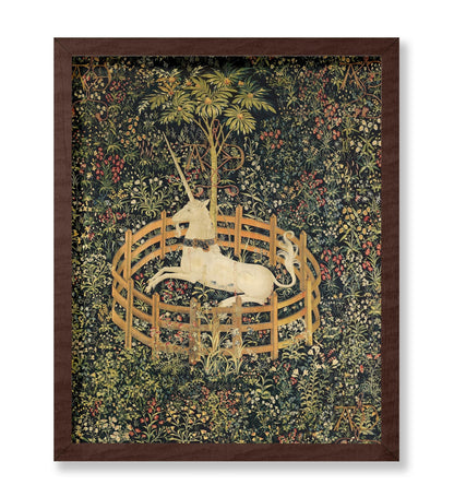 The Unicorn in Captivity