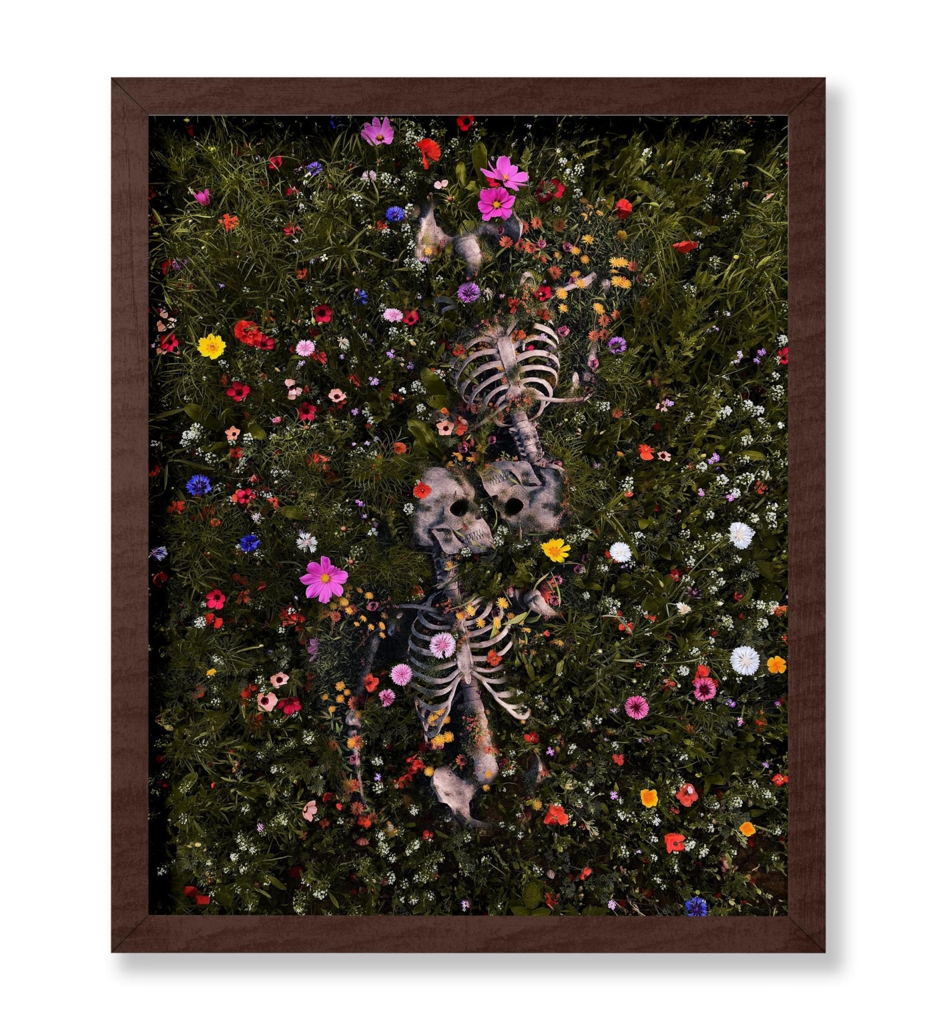 Skeleton Lovers