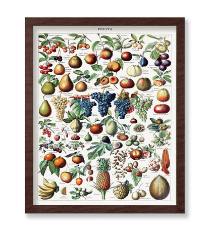 Adolphe Millot - Fruits