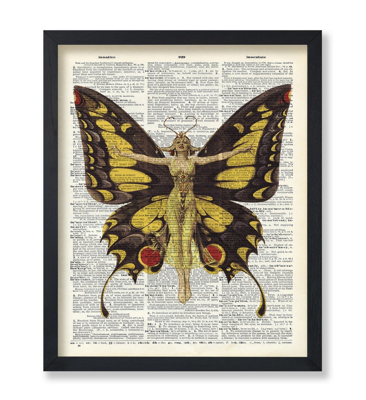Queen of Butterflies